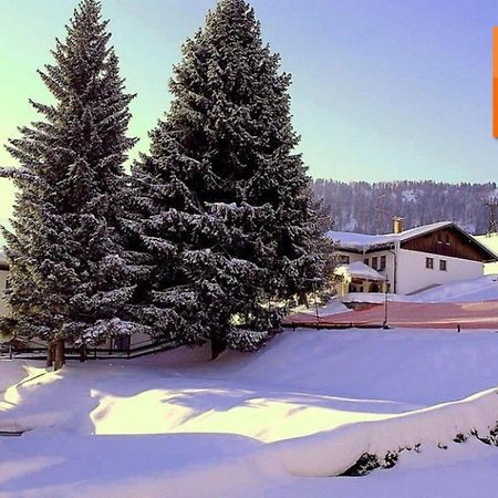 Appartement Nr 19, Alpenappartementhaus, Oberstaufen-Steibis, Allgaeu, Oberstaufen Plus Kültér fotó
