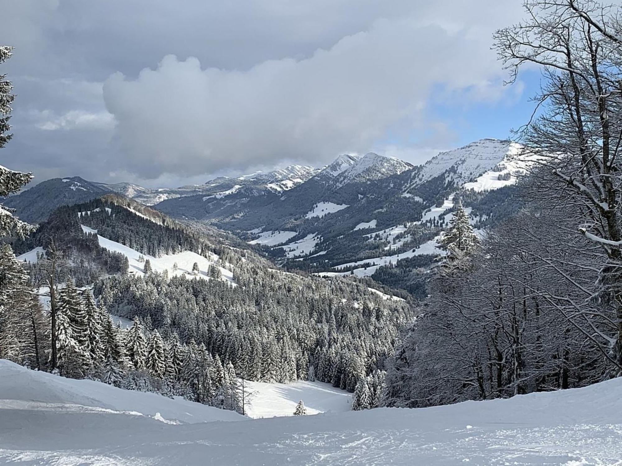 Appartement Nr 19, Alpenappartementhaus, Oberstaufen-Steibis, Allgaeu, Oberstaufen Plus Kültér fotó